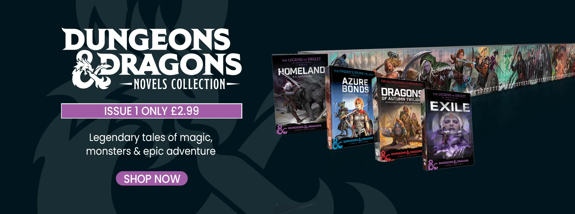 Dungeons & Dragons Novels Collection